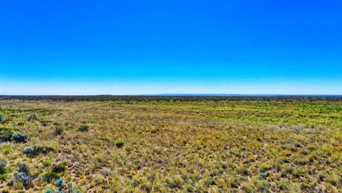 1.15 Acres for Sale in Adamana, Arizona