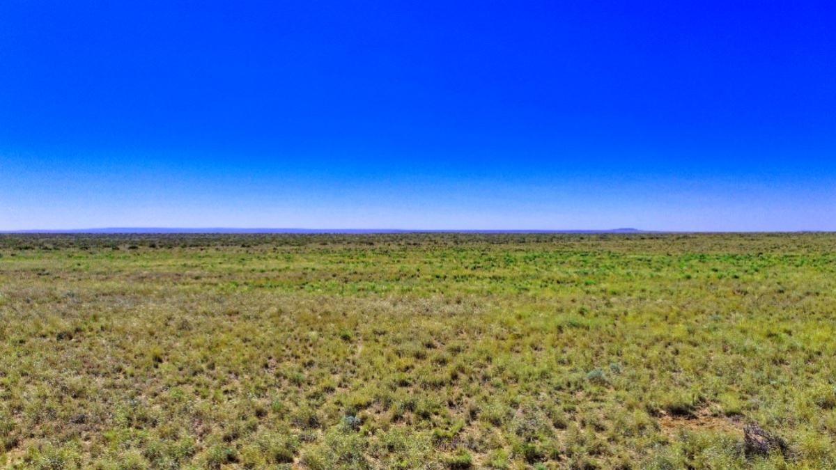 1.15 Acres for Sale in Adamana, Arizona