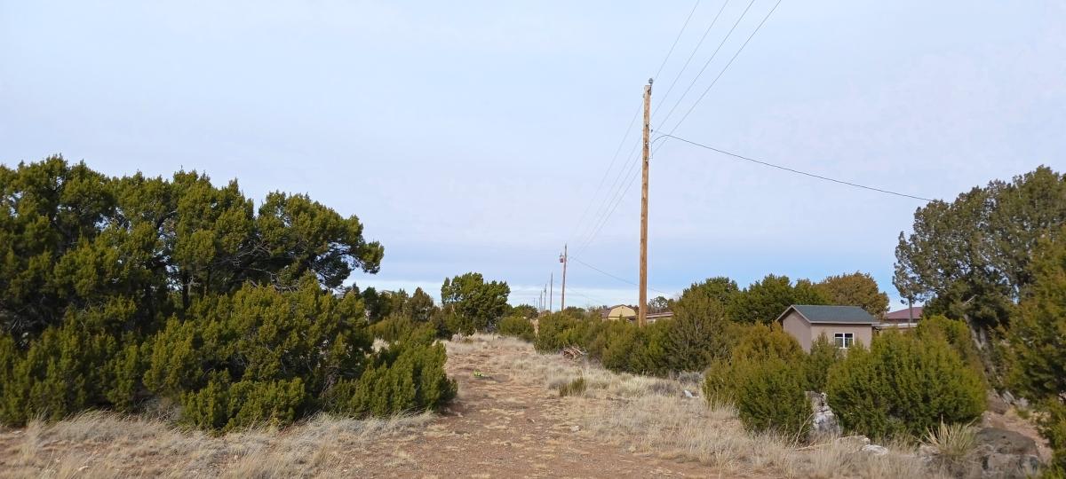 0.34 Acres for Sale in Concho, Arizona