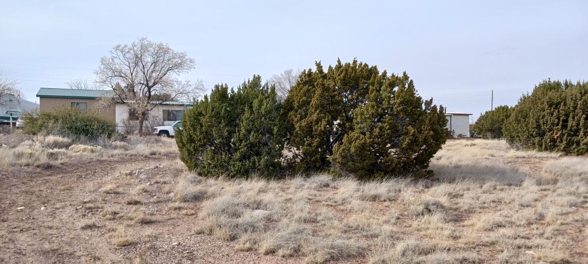 0.34 Acres for Sale in Concho, Arizona