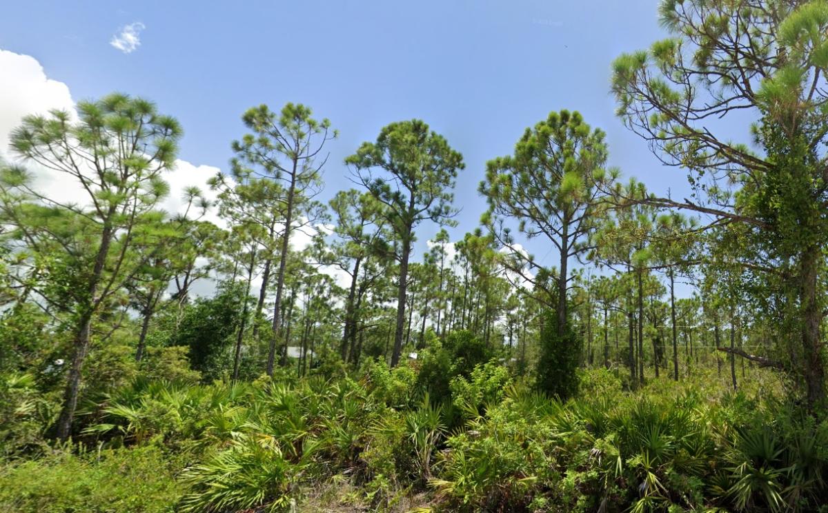 0.17 Acres for Sale in Punta Gorda, Florida