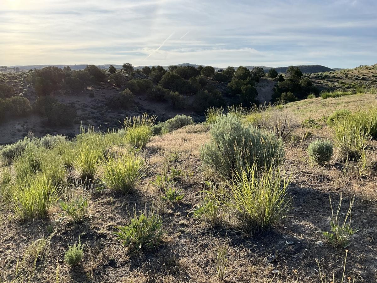 1.13 Acres for Sale in Elko, Nevada