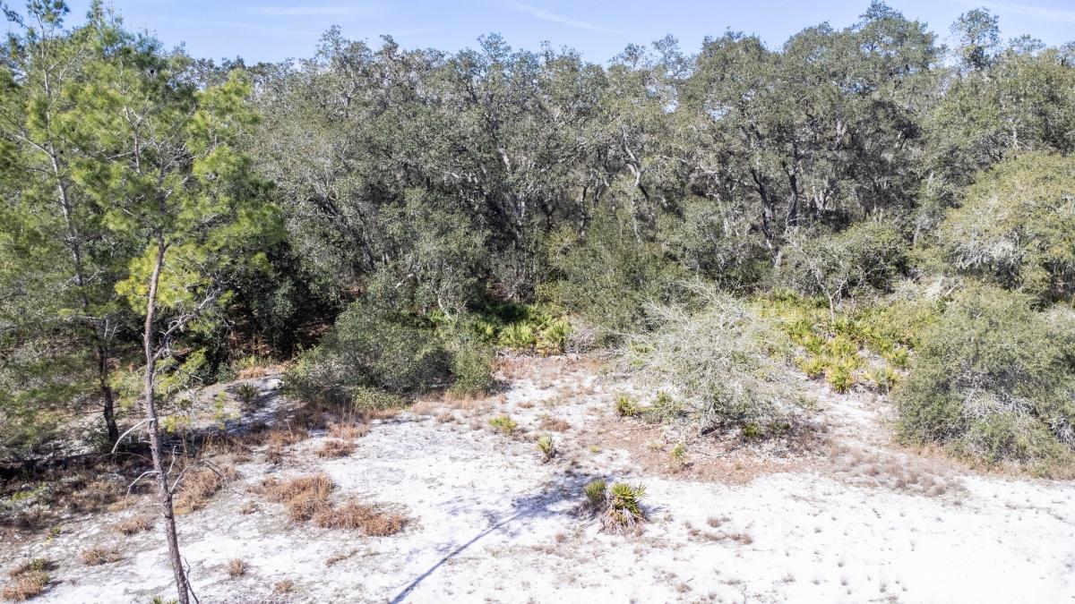 0.27 Acres for Sale in Ocklawaha, Florida