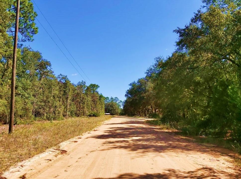 0.23 Acres for Sale in Interlachen, Florida