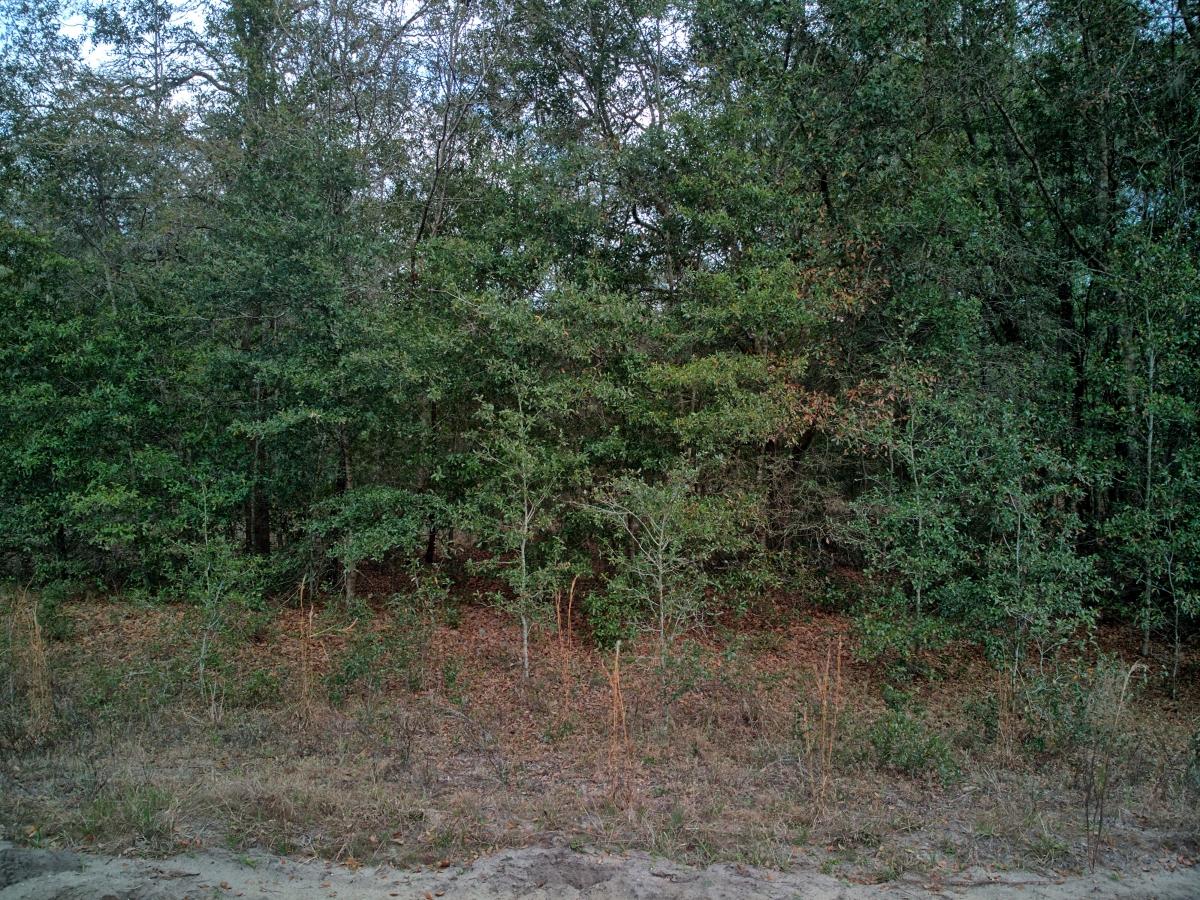 0.22 Acres for Sale in Interlachen, Florida