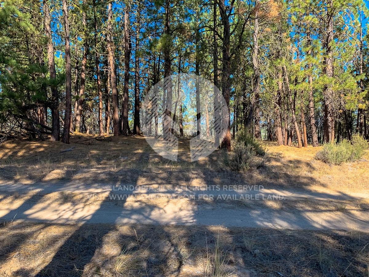 5.11 Acres for Sale in Beatty, Oregon