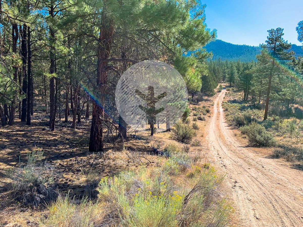 5.11 Acres for Sale in Beatty, Oregon