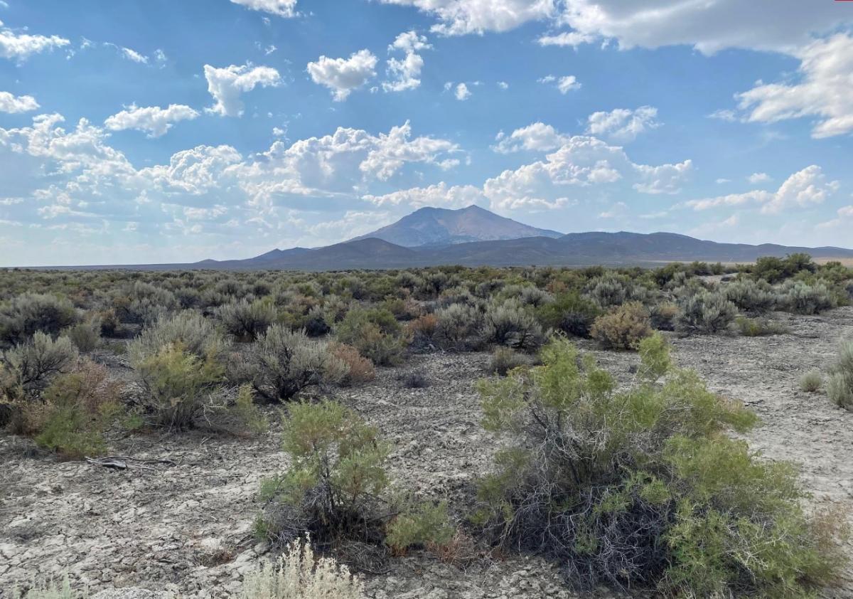 40.35 Acres for Sale in Pronto, Nevada