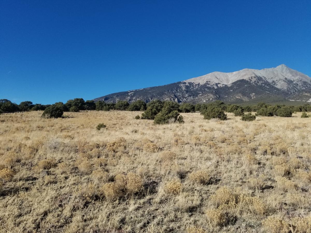 4.5 Acres for Sale in San Luis, Colorado