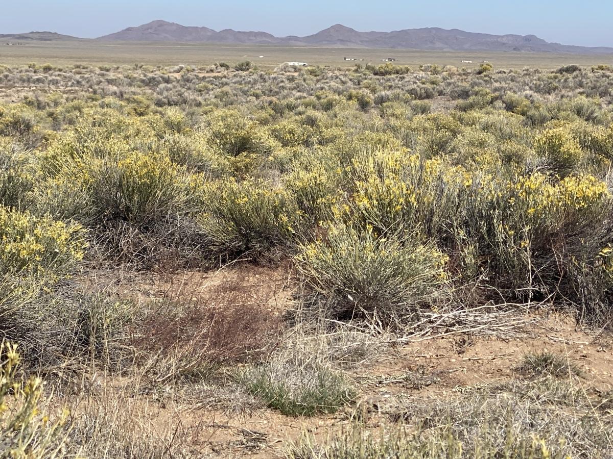 4.92 Acres for Sale in Blanca, Colorado