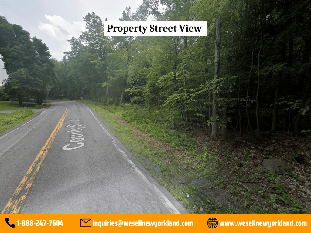 3.65 Acres for Sale in Climax, New York