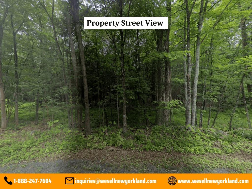 3.65 Acres for Sale in Climax, New York
