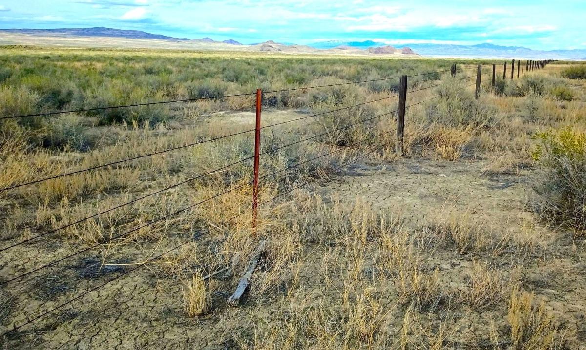 10 Acres for Sale in Nevada, Nevada