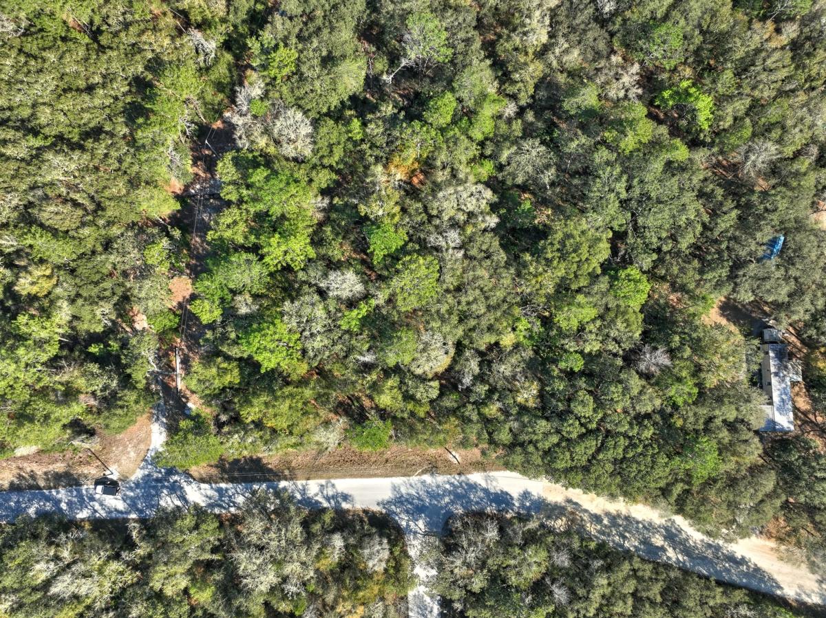 0.31 Acres for Sale in Fort McCoy, Florida