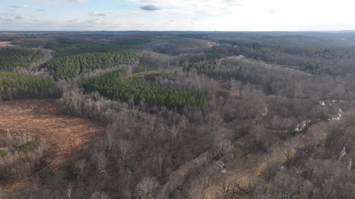 5.98 Acres for Sale in South Boston, Virginia