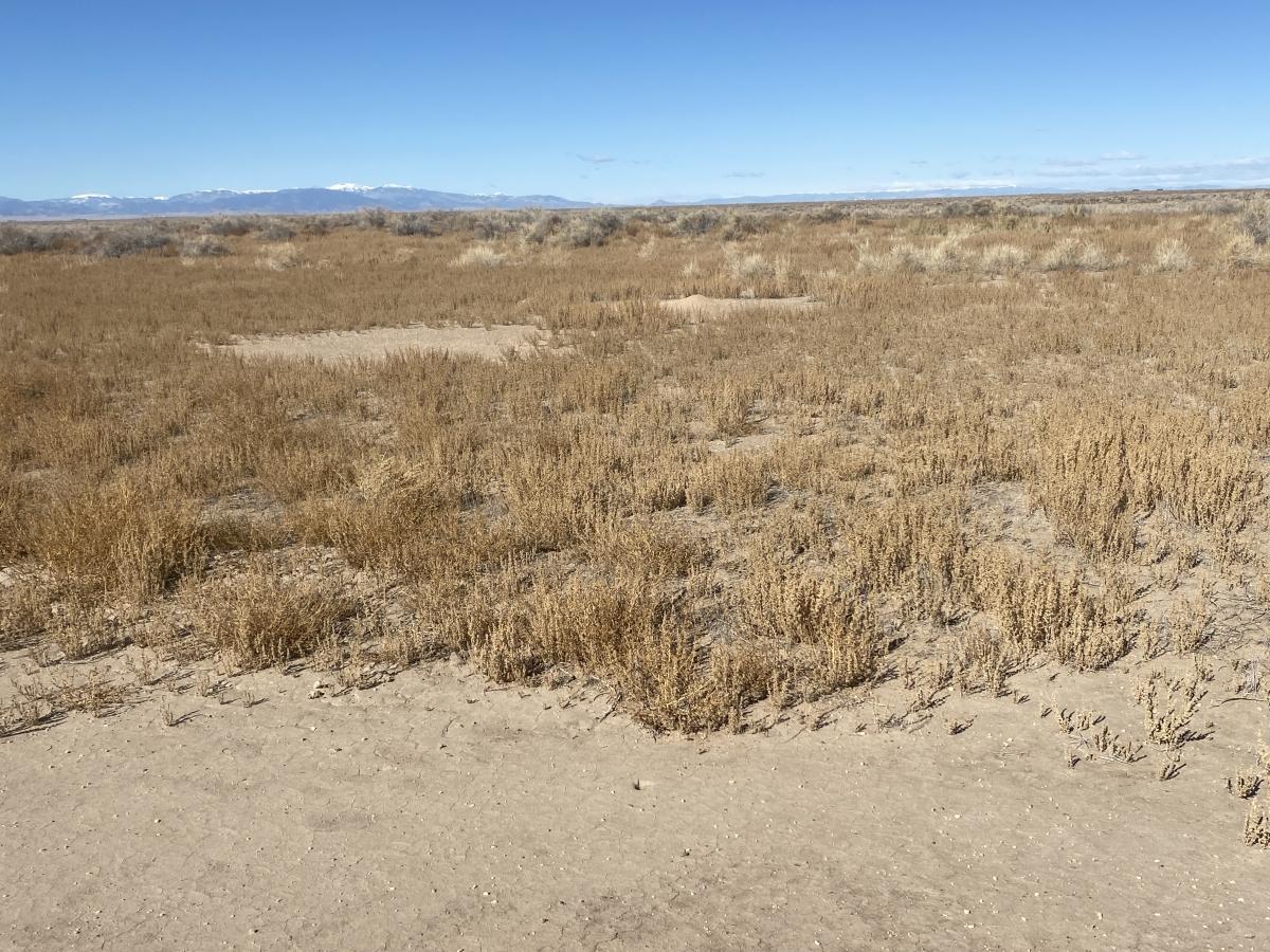 5 Acres for Sale in Blanca, Colorado