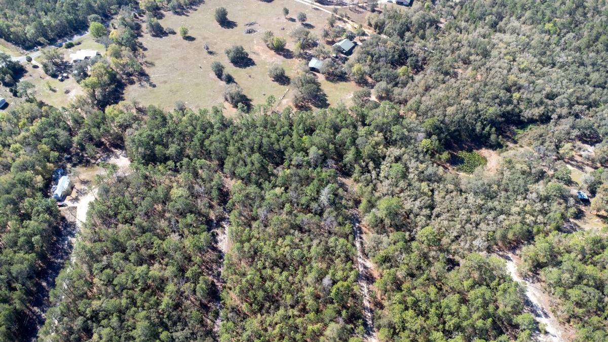 0.18 Acres for Sale in Florahome, Florida
