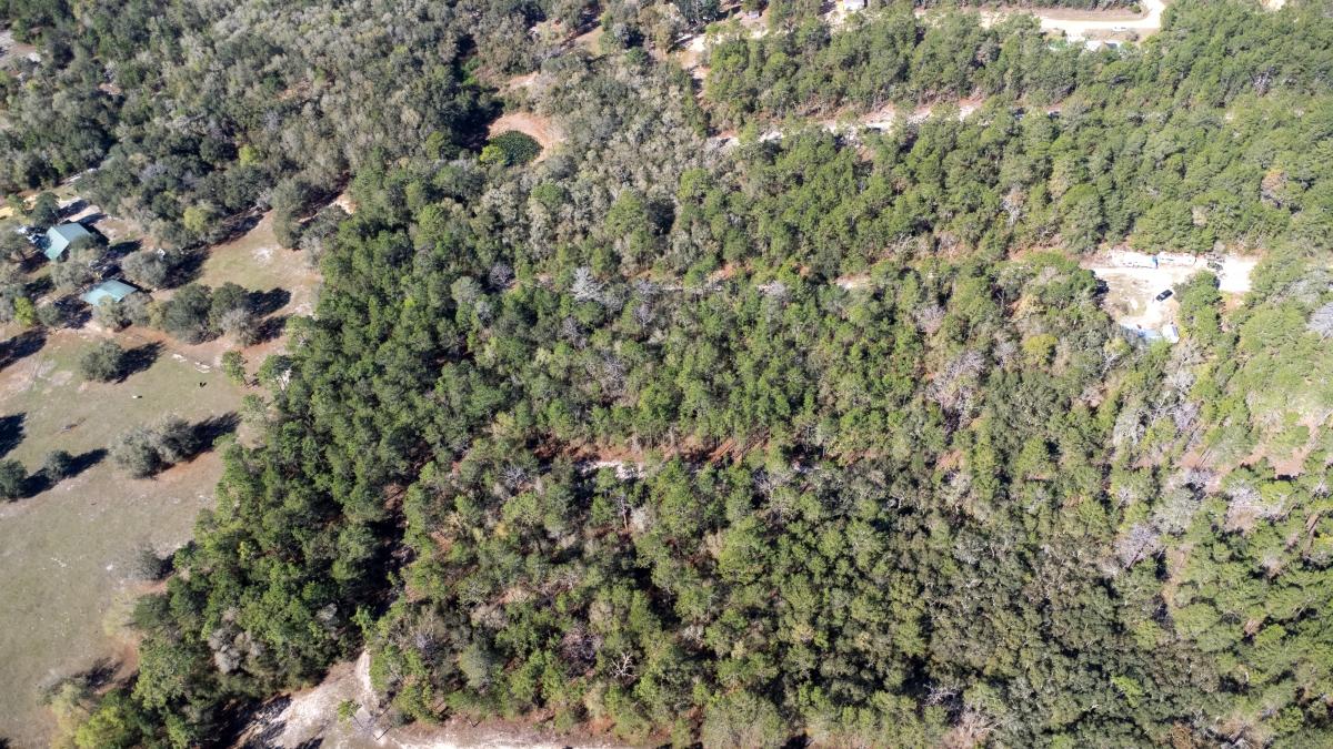 0.18 Acres for Sale in Florahome, Florida