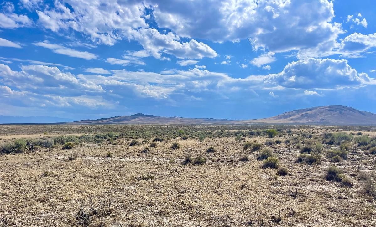 10 Acres for Sale in Deeth, Nevada