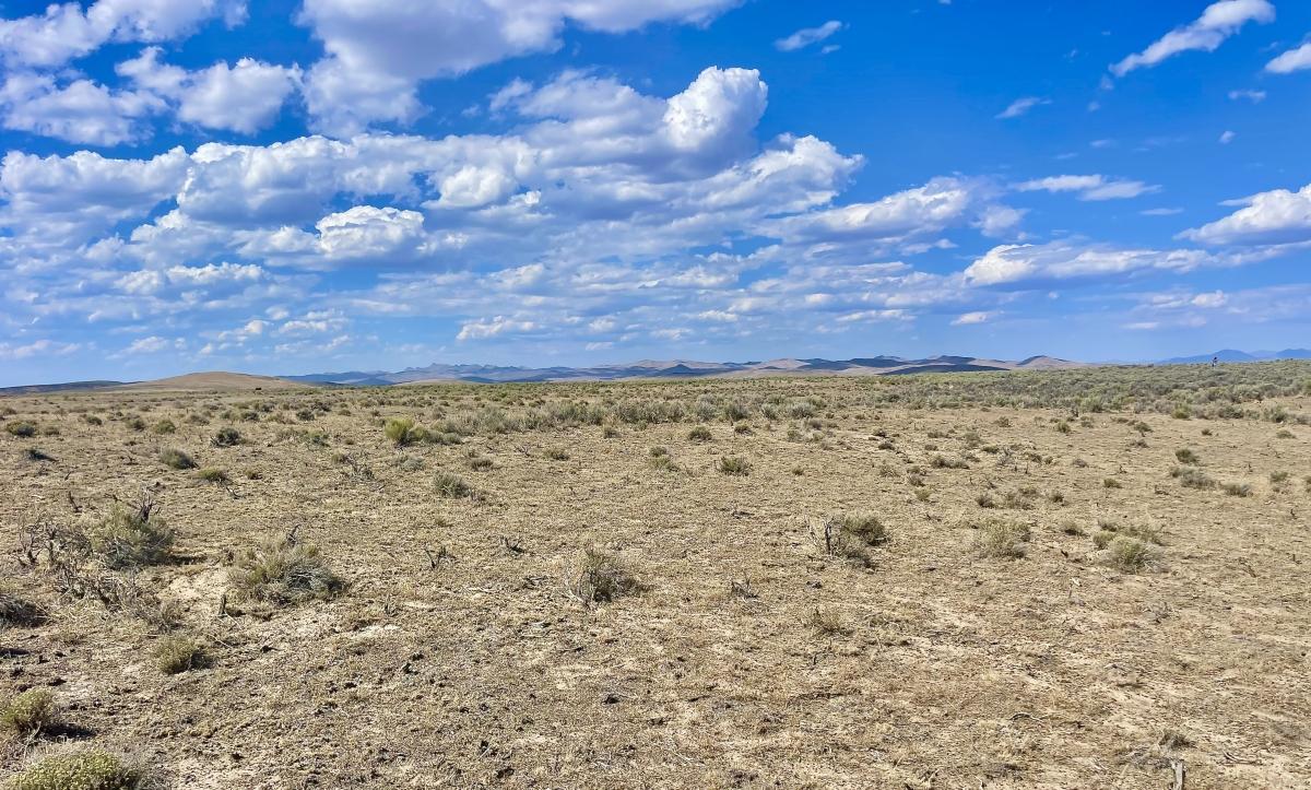 10 Acres for Sale in Deeth, Nevada