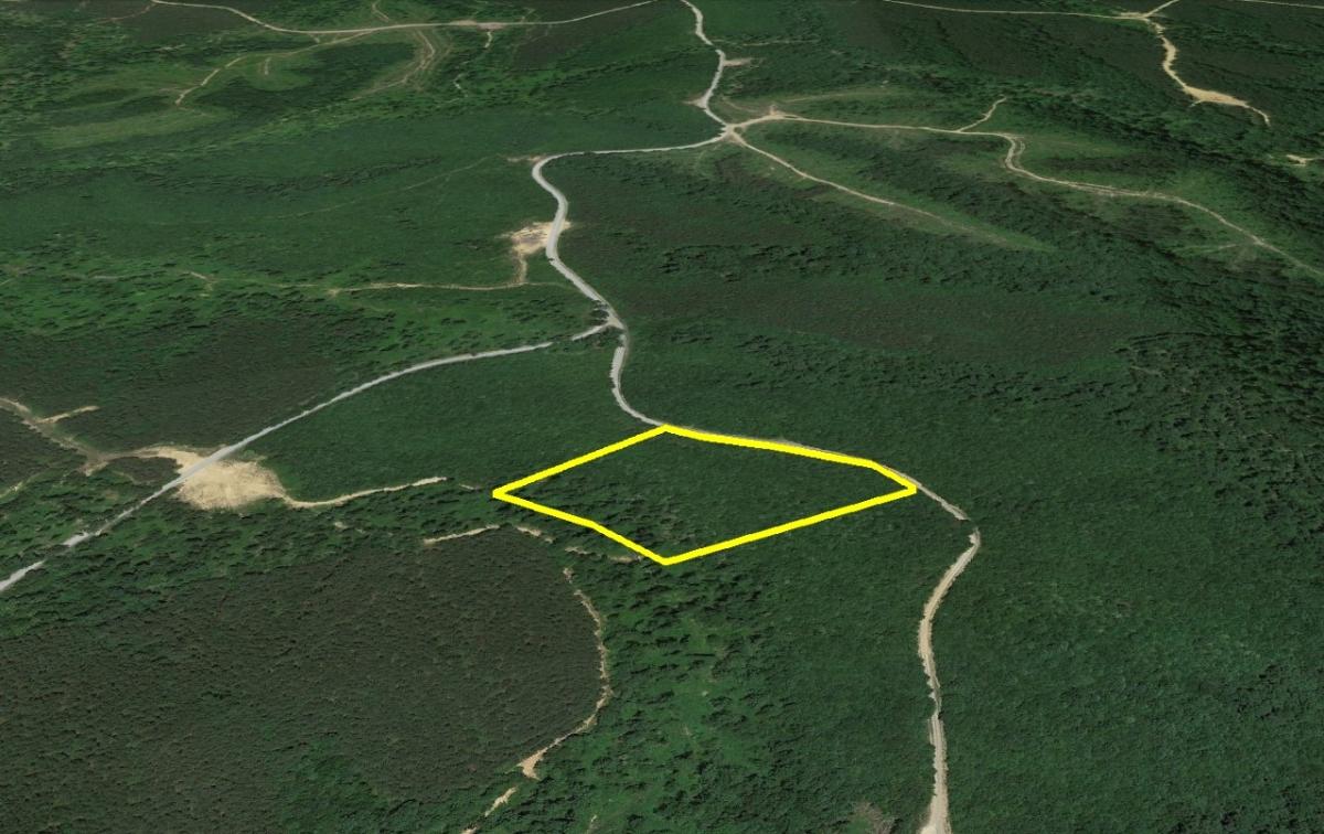 5.32 Acres for Sale in Stewart, Tennessee