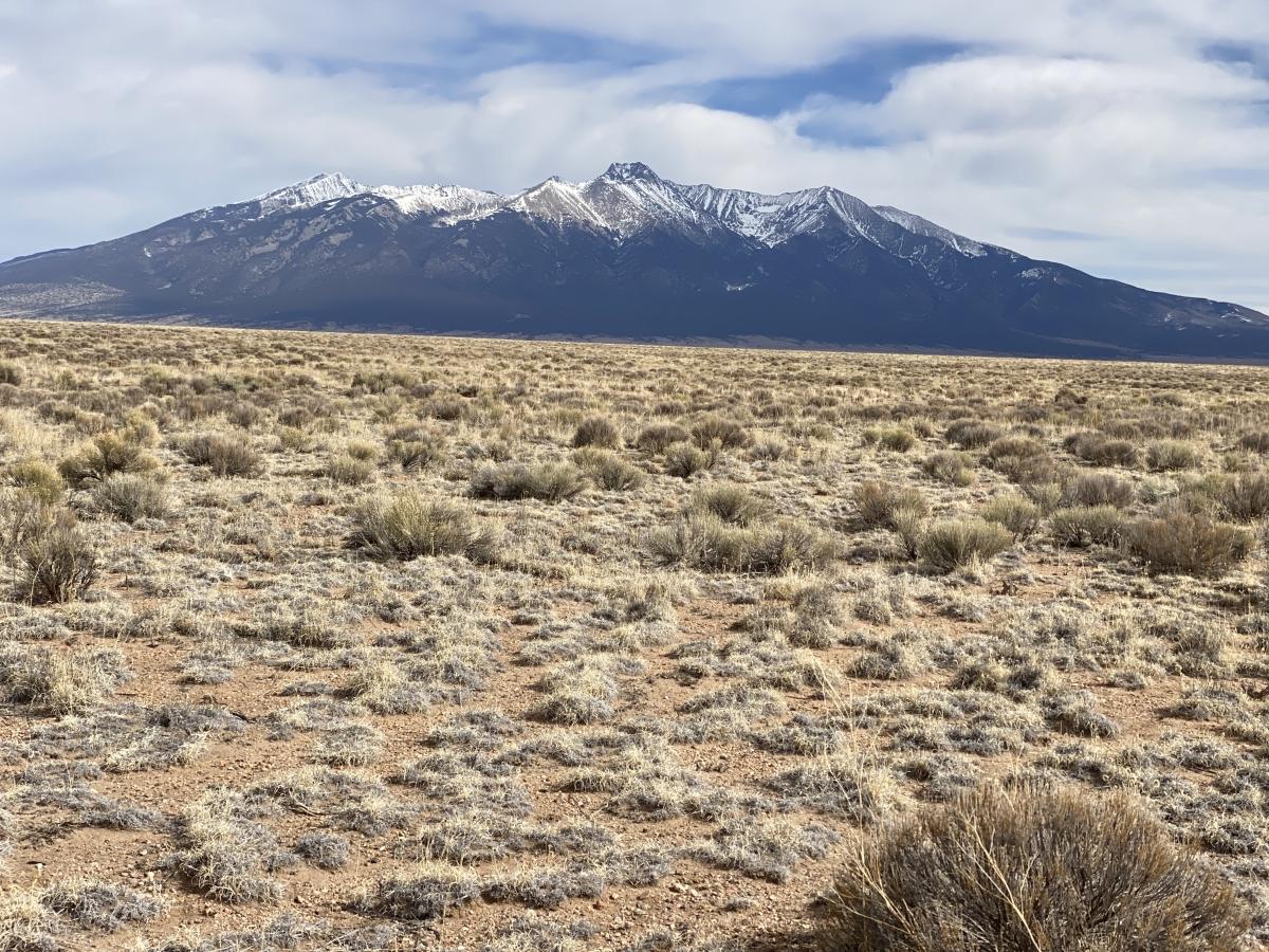 5 Acres for Sale in Mesita, Colorado