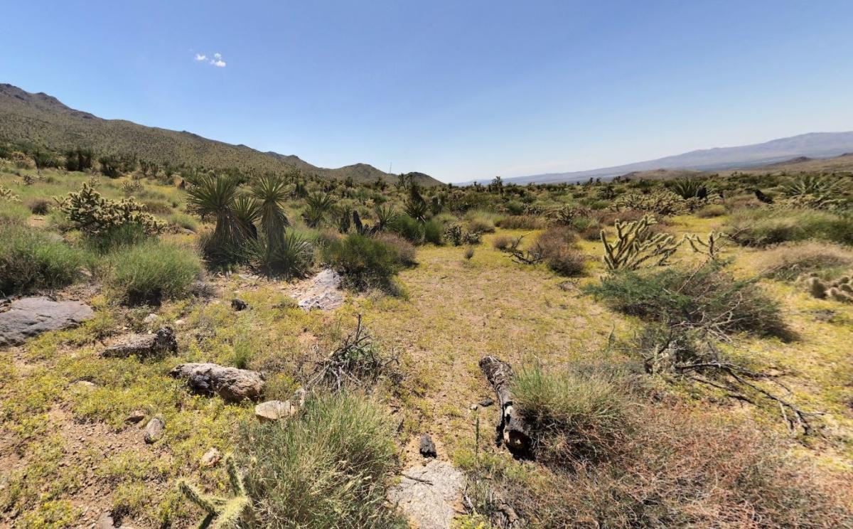 1.77 Acres for Sale in Dolan Springs, Arizona