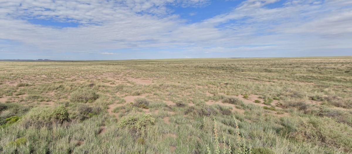 2.5 Acres for Sale in Adamana, Arizona