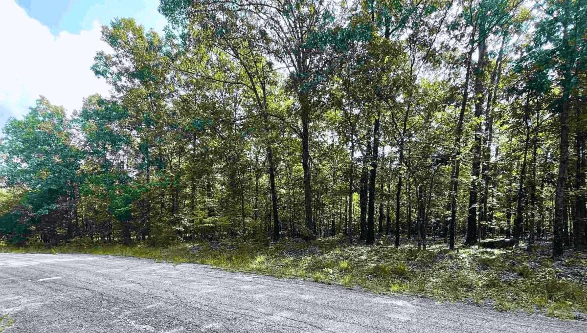 0.28 Acres for Sale in Horseshoe Bend, Arkansas