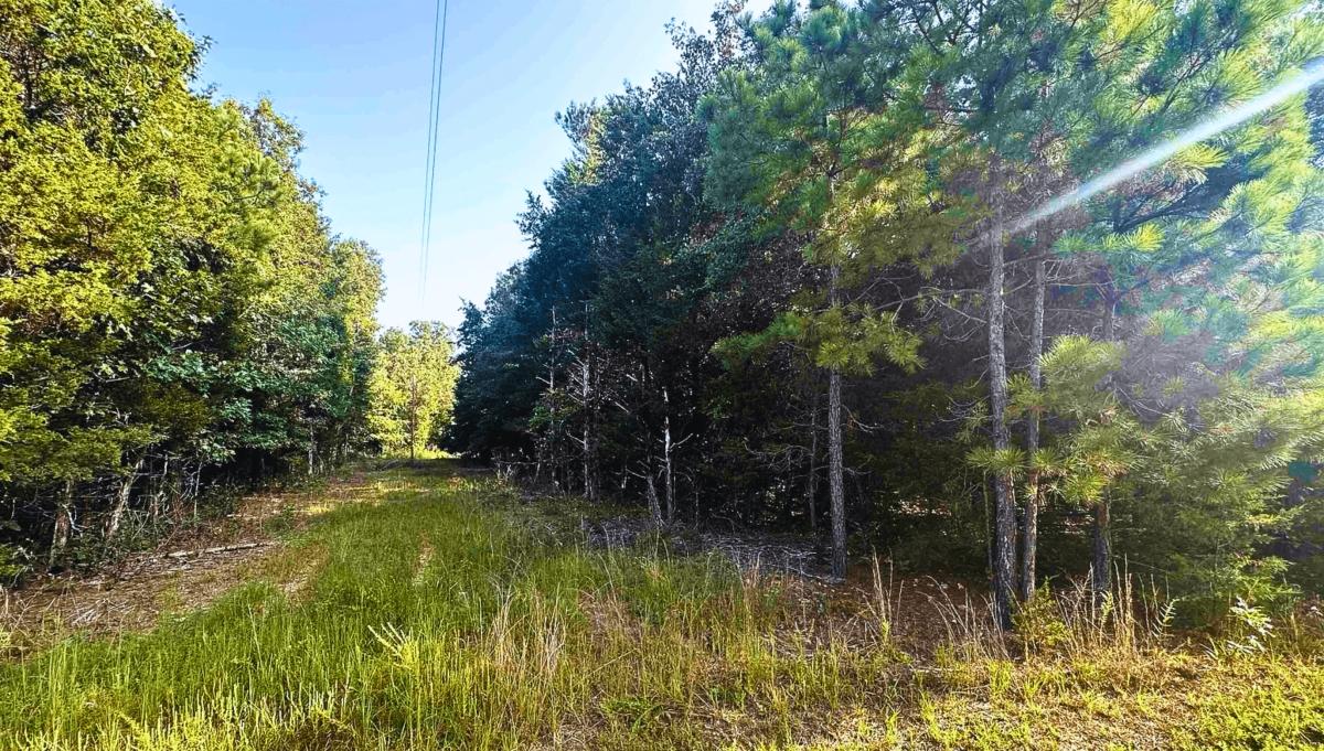 0.38 Acres for Sale in Horseshoe Bend, Arkansas