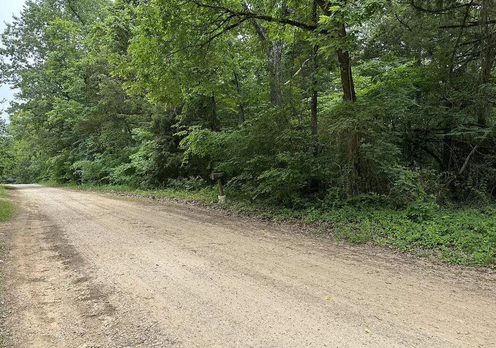 0.21 Acres for Sale in Diamond City, Arkansas
