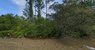 0.22 Acres for Sale in Georgetown, Florida