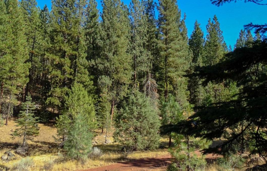 0.87 Acres for Sale in Alturas, California