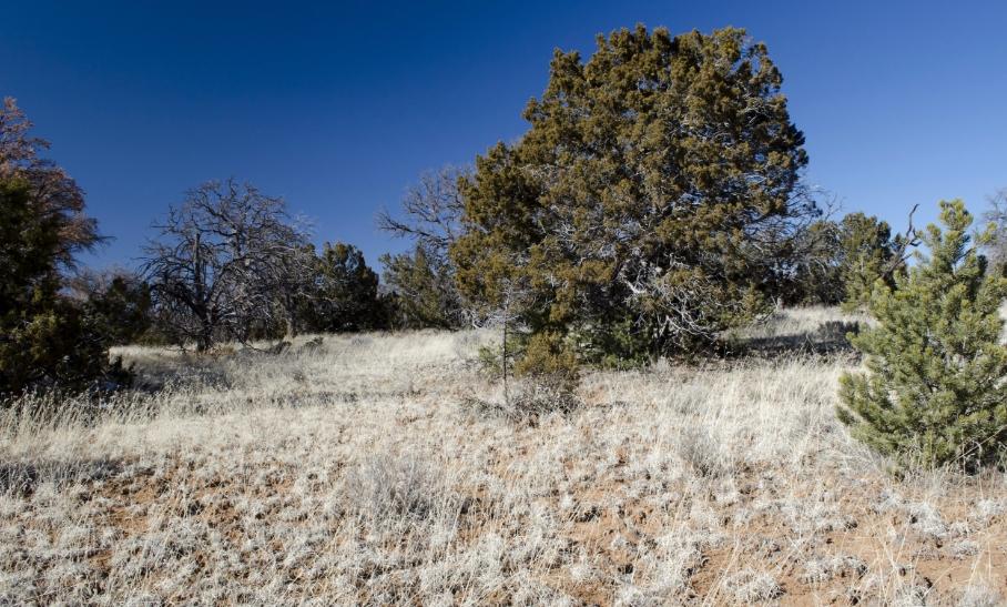 2.50 Acres for Sale in El Morro, New Mexico