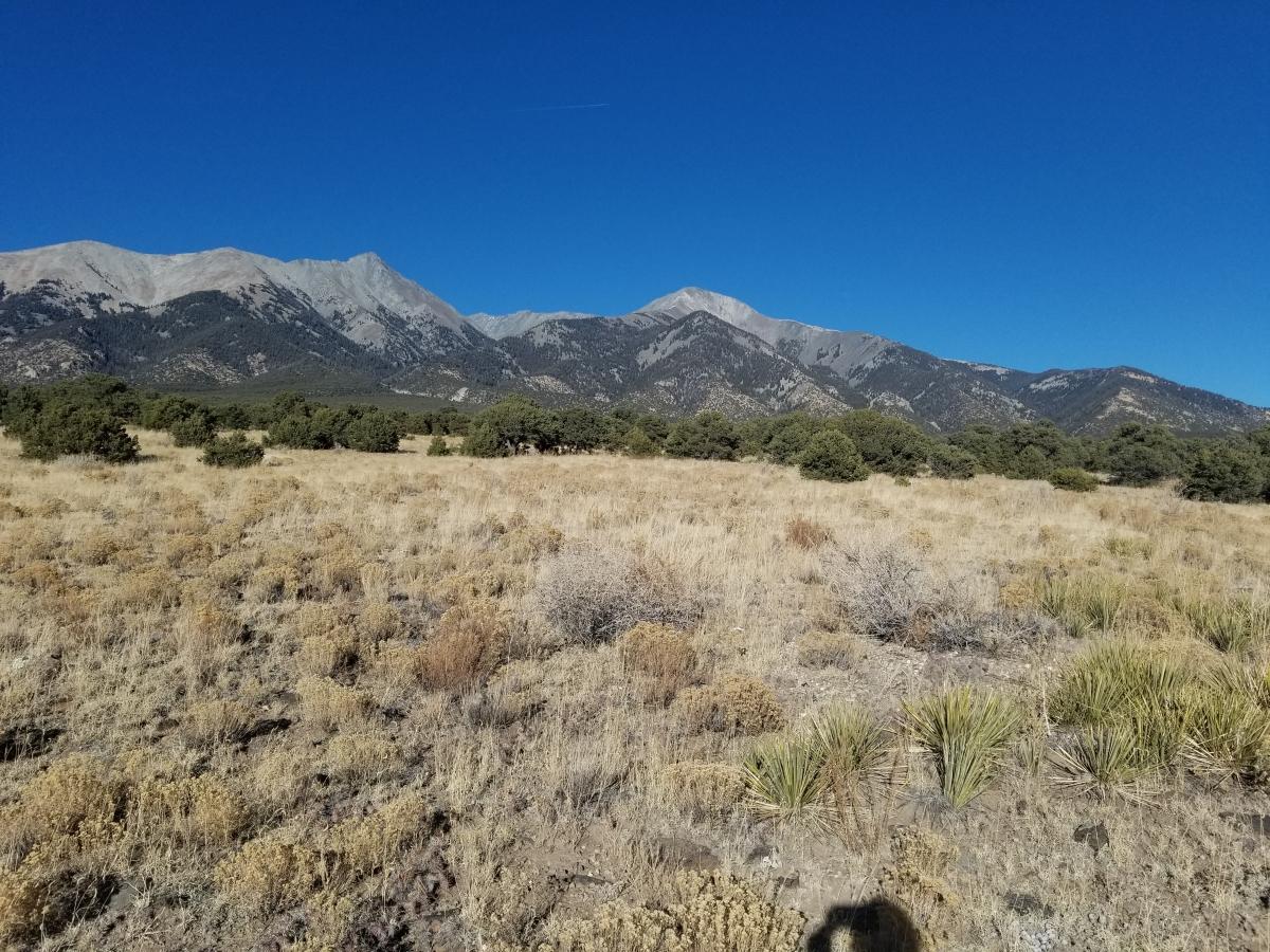 5 Acres for Sale in Mesita, Colorado