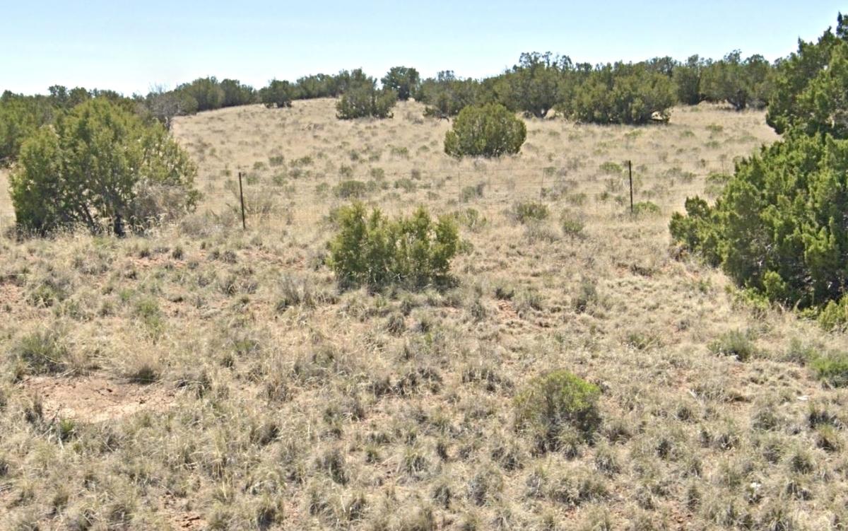 1.04 Acres for Sale in Sanders, Arizona