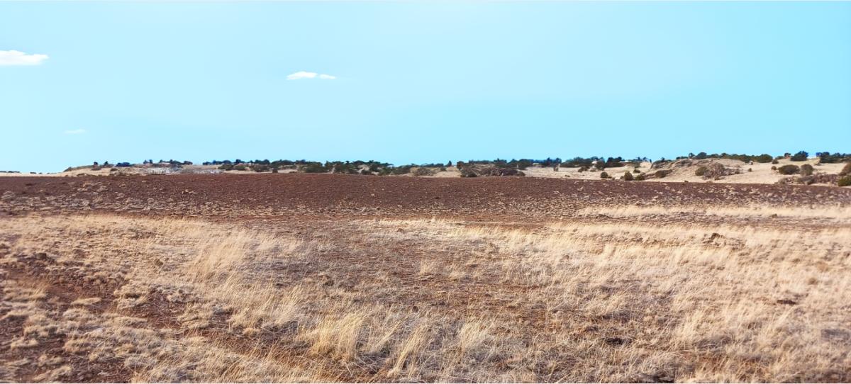 0.46 Acres for Sale in Concho, Arizona