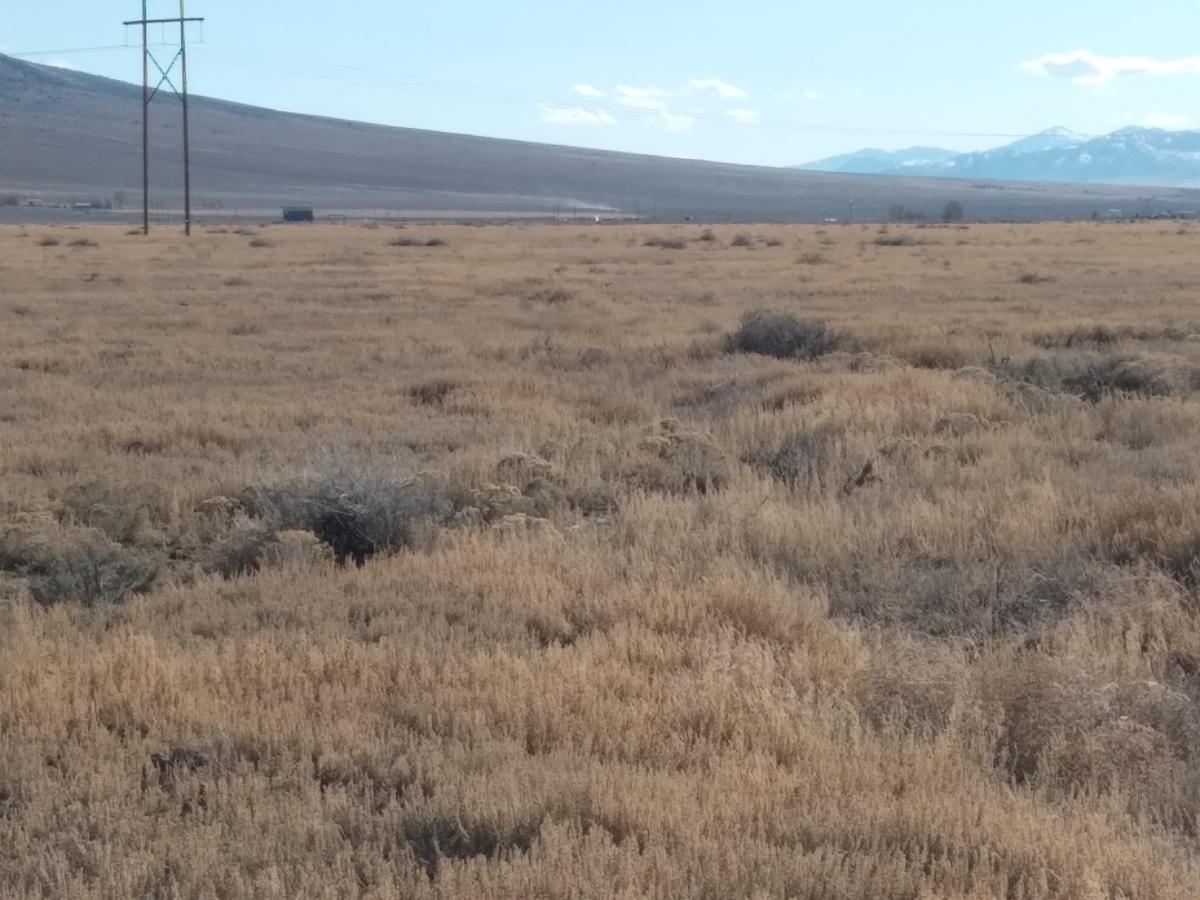 10 Acres for Sale in Montello, Nevada