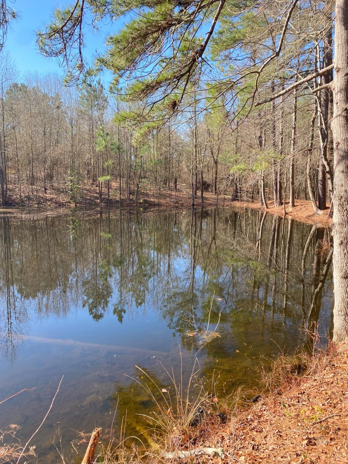 13.936 Acres for Sale in Rockingham, North Carolina