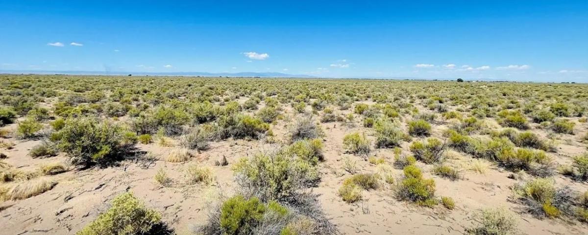 4.9 Acres for Sale in Blanca, Colorado