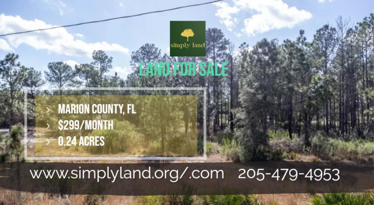 0.24 Acres for Sale in Ocklawaha, Florida