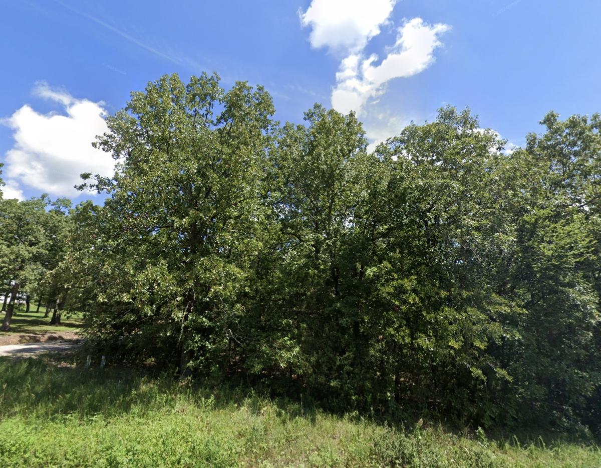 0.29 Acres for Sale in Williford, Arkansas