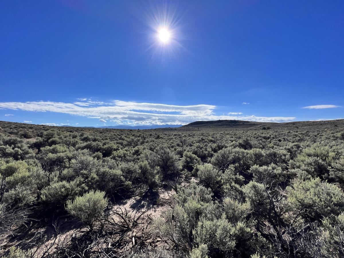 5.67 Acres for Sale in Blanca, Colorado