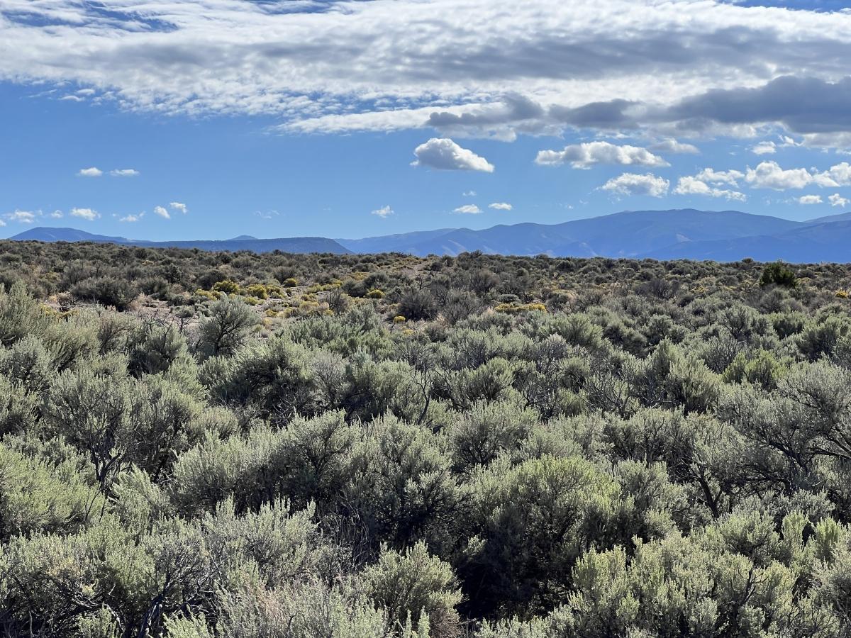 5.67 Acres for Sale in Blanca, Colorado