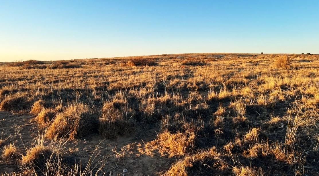 40.3 Acres for Sale in Winnemucca, Nevada