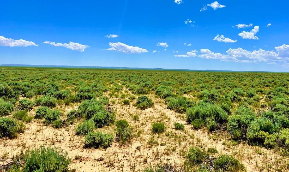 40.3 Acres for Sale in Winnemucca, Nevada