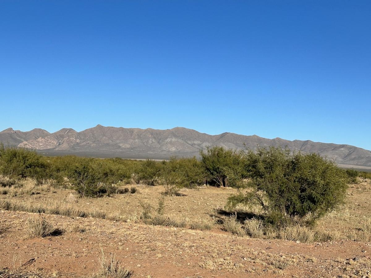 5.07 Acres for Sale in McNeal, Arizona
