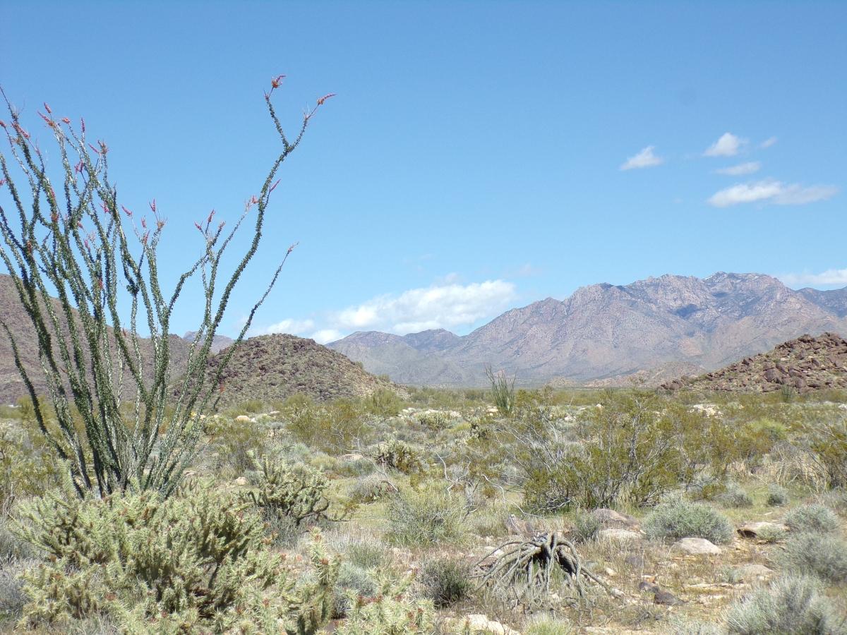 2.35 Acres for Sale in Yucca, Arizona