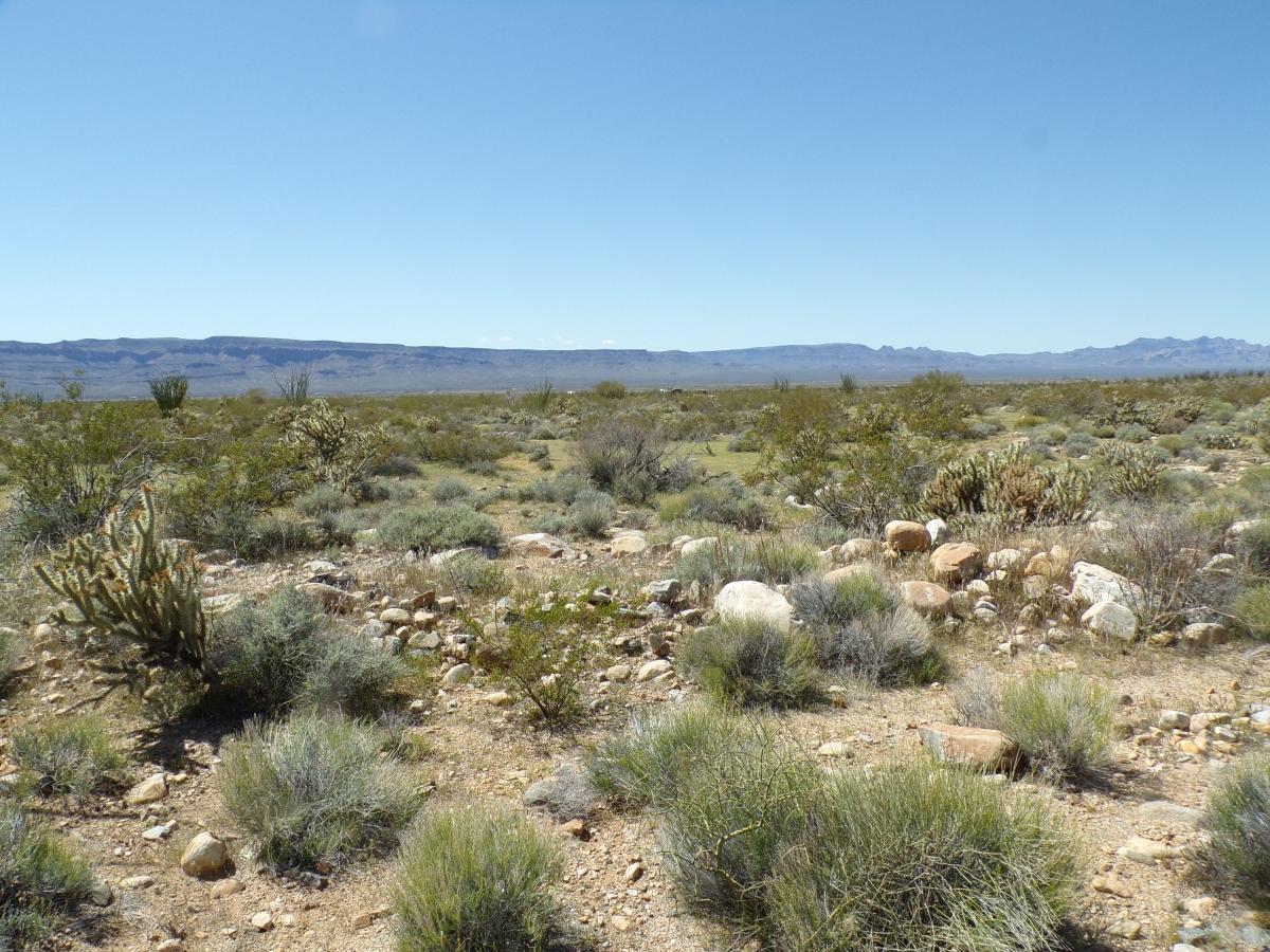 2.35 Acres for Sale in Yucca, Arizona