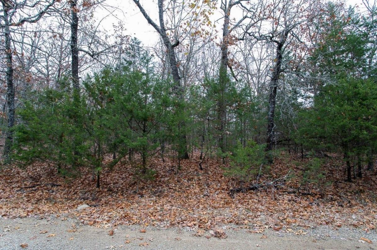 0.33 Acres for Sale in Horseshoe Bend, Arkansas